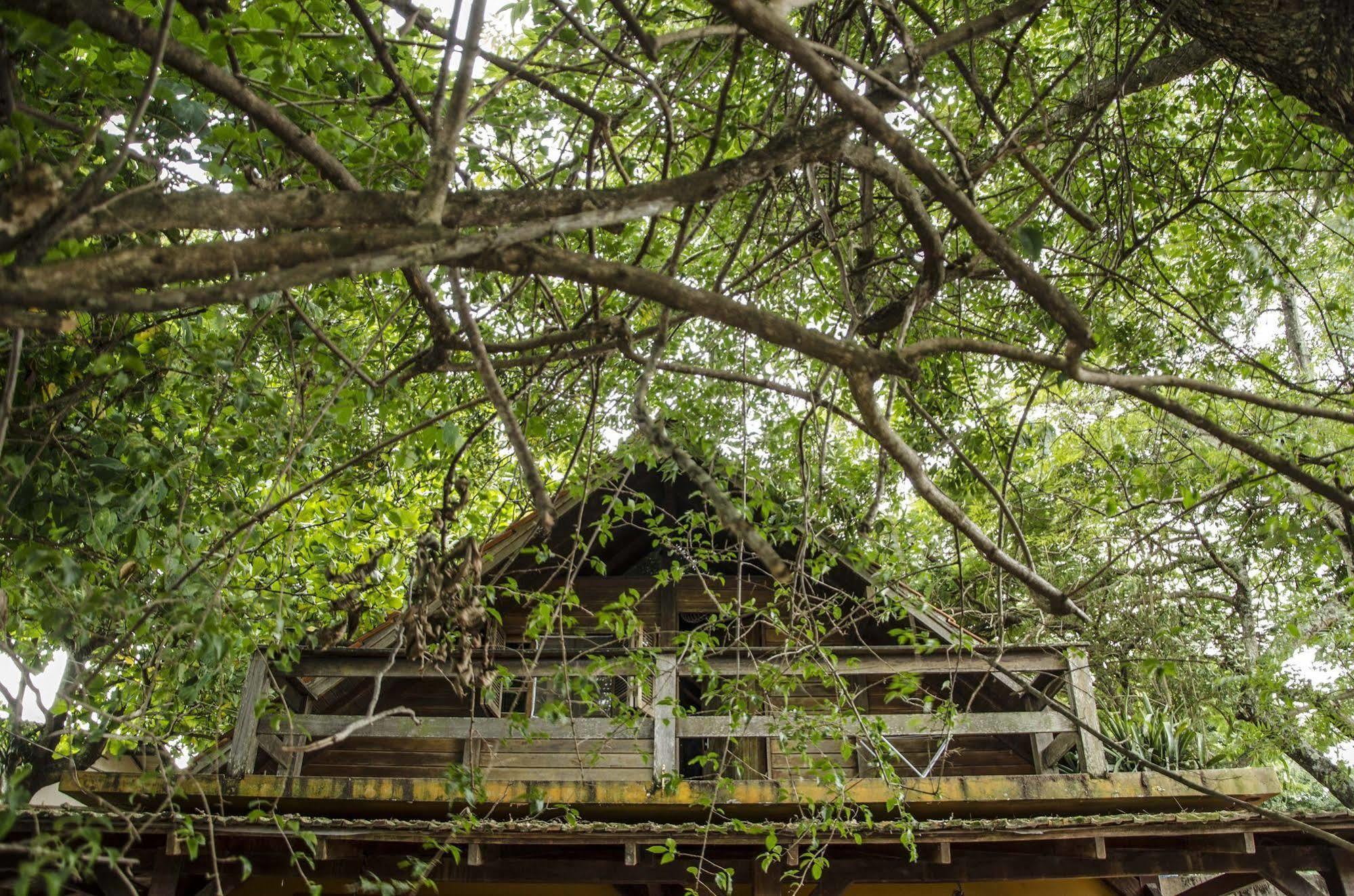Sagui Hostel Florianópolis Eksteriør billede